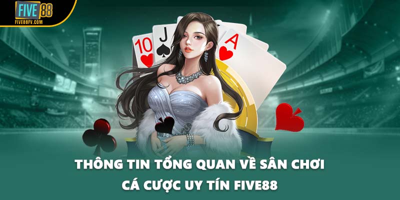 Thông tin tổng quan về sân chơi cá cược uy tín FIVE88